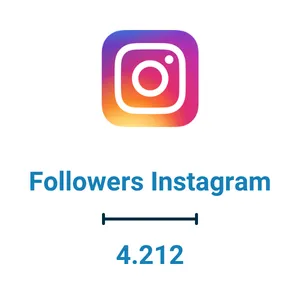 followers instagram (1)