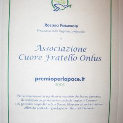 Premio per la Pace Regione Lombardia 2005