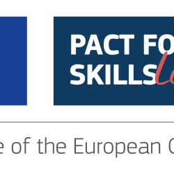 Pact for Skill Leader