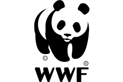 WWF 